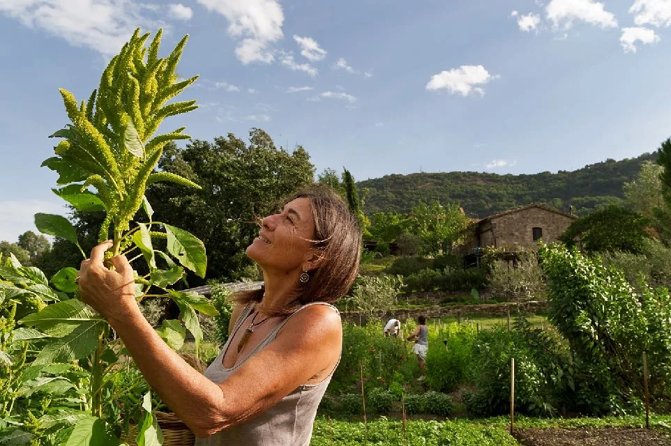 L’orto e la natura intorno alla villa
